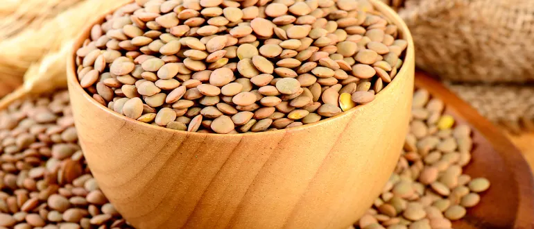 Brown Lentils